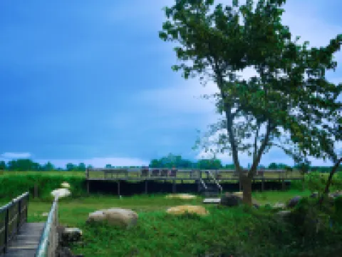 Sapana Village Lodge チトワンのホテル