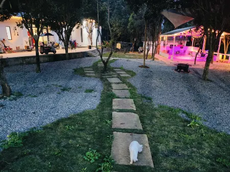 Yuanye Zhisen Homestay Отели в г. Пуцзян