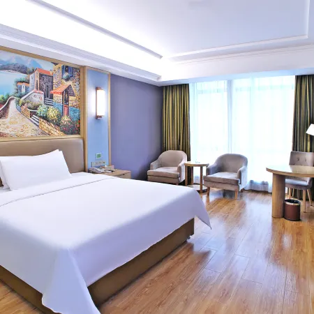 Vienna Hotel (Luchuan High-speed Railway Station)