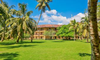 The Palms