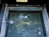 Huizhou Longmen Nankunshan YiMu Hot Spring Villa