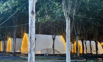 Wutong Forest Campground