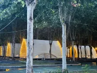Wutong Forest Campground