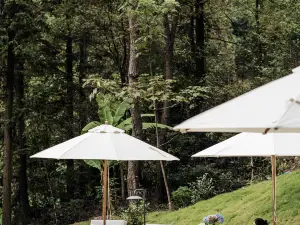 B&B Boutique a Jiangxi: le opzioni più popolari