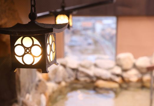 도미인 니가타 온천