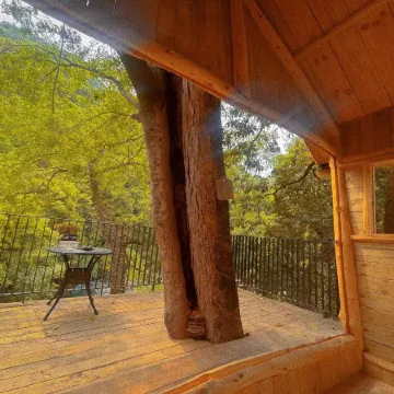 Pingwu Qingqiugu Homestay