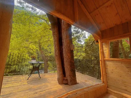 Pingwu Qingqiugu Homestay