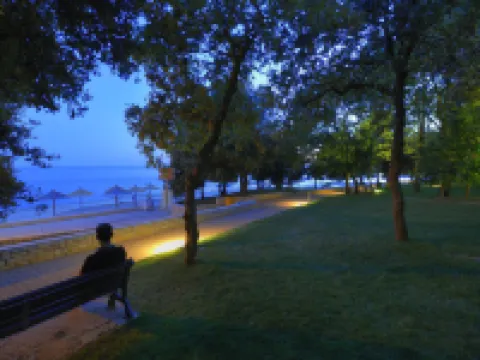 Hotel Delfin Plava Laguna Hotels in Funtana