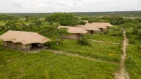 Kenzan Ndutu Camp Hotels in 