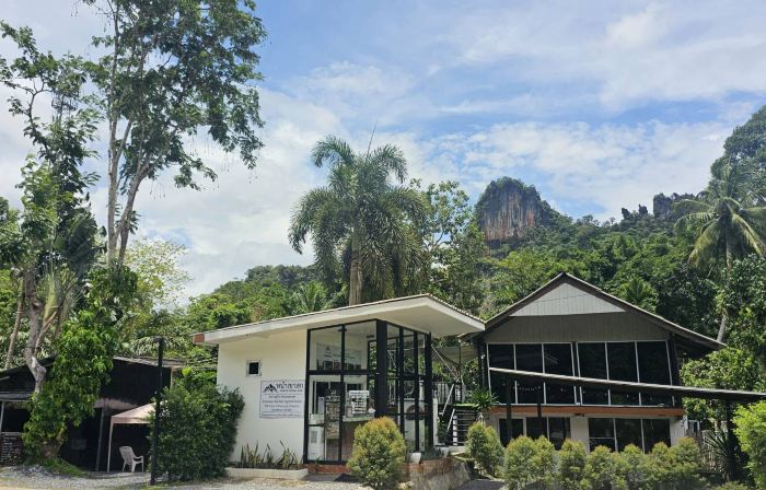 Nahm Khao Sok Hostel and Camping