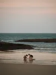 KAIPUU ON THE REEF - Beach