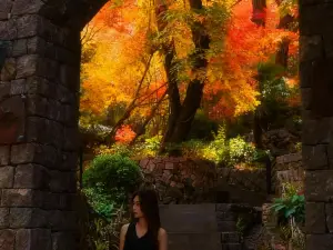 Anji Old Woods Holiday Villa Hotel