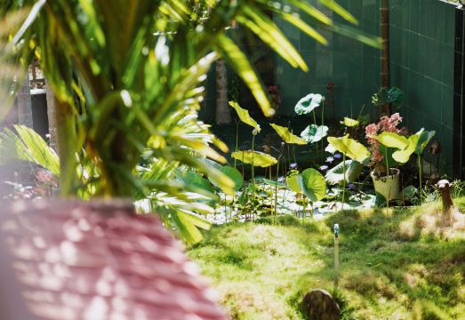 숙소 정책 이미지 1