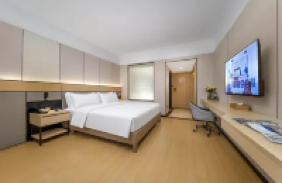 Vienna Hotel (Nanning Railway Station)