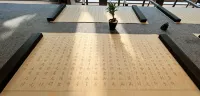 Hefei Lujiang Chunian Cultural Resort Hotel - palestra