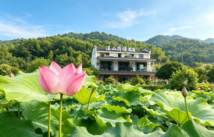 Xishan Heyü Homestay (Dayuan Cultural Park Branch), Jiuhua Mountain