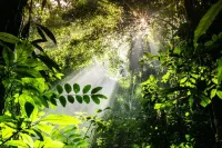 멍라 시웨싱 원뤼 호텔