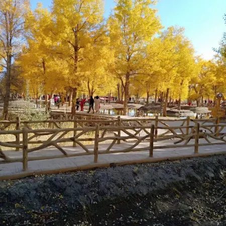 Huyang Nongju Sihao Homestay