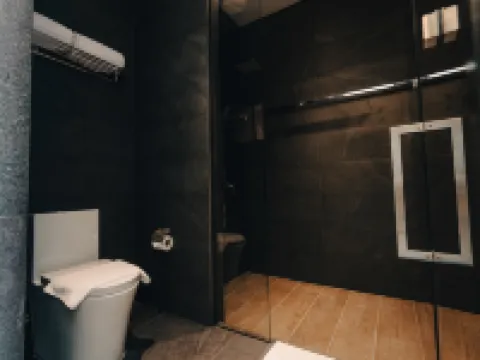 The Funny Lion - Puerto Princesa Hotels in Palawan