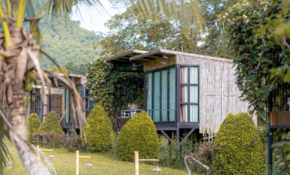 Cheiwlan Camp & Resort Hotels near Khao Sok Lake