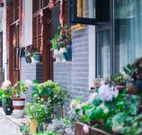 Building 62, Wujing Road, Ziping New Village, Jinggang Mountain, Jiangxi Province Hotels in Jinggangshan