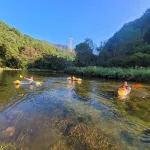 galaxy x hotel type caravan glamping&pension