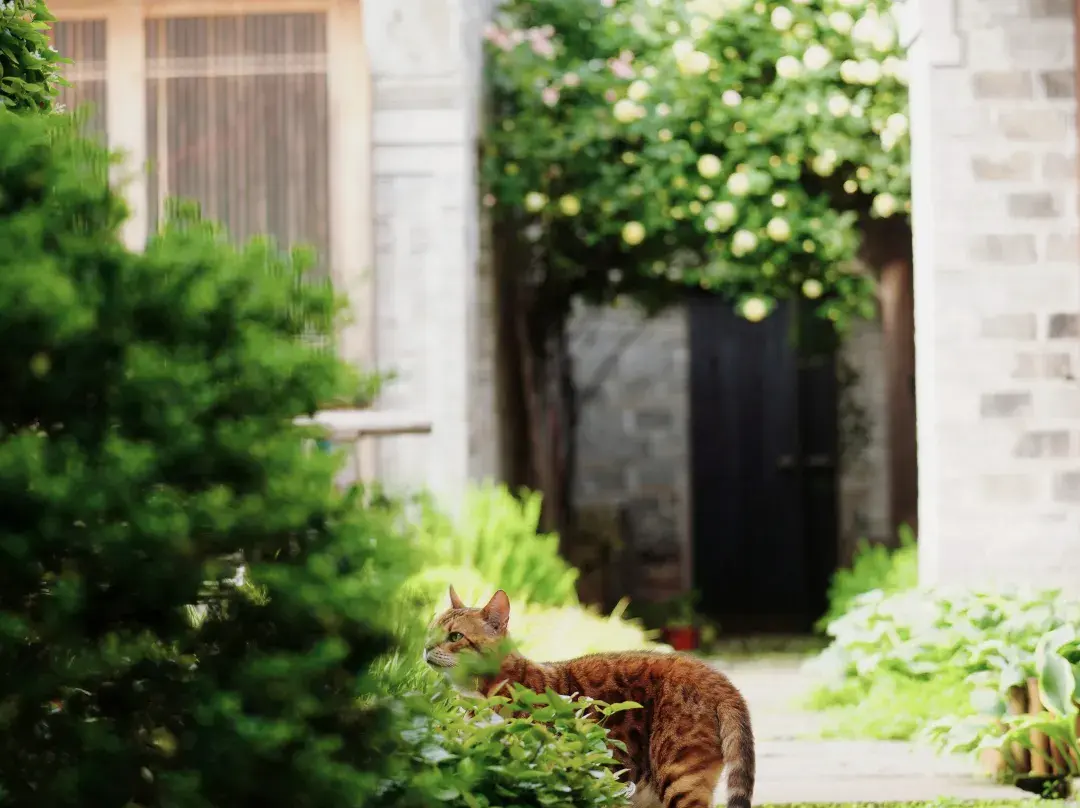 Songting Chinoiserie Mansion - Ningbo