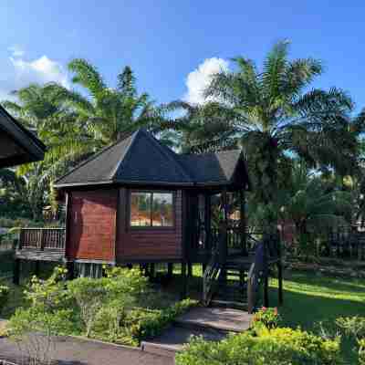 Perfect Forest Eco-Resort Rooms