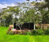 Nira Cangkringan