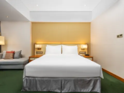 ラディソン ブル 深業ホテル カシュガル カシュガルのホテル