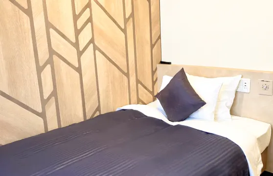 利夫馬克斯經濟型酒店-東京調布站前店