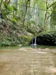 Zhuyuan Hotel (Tuolongxia Ecological Tourism Scenic Area)
