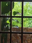 Shanyu Su said homestay (Huangguoshu Waterfall Scenic Area Store) - Gym