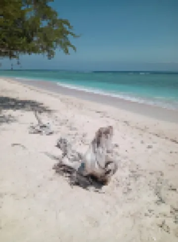 Gili Ocean Club - 限成人