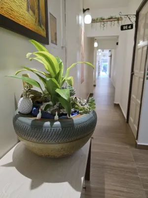 Jade Guesthouse Jonker Melaka