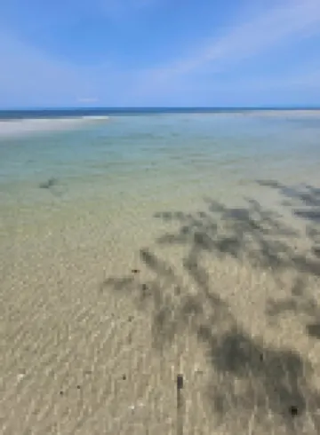 The hi Ocean resort