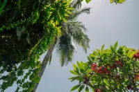 The Confidential Mandalika - Pet friendly