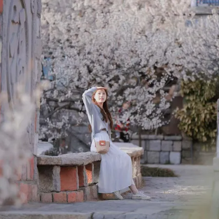 Xianju Laoshan Poetry & Wine Culture Themed Courtyard