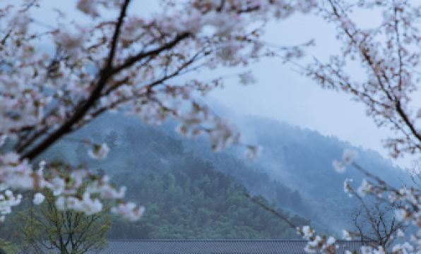 Peitree Resorts Yaoliang