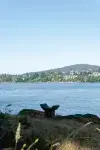 Victoria Island , Sooke Modern Beach Front House With Private Beach,Ocean ,Mountain & City Views