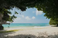 Anse Yomitan Toya