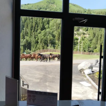 Xixia Xiaozhu Homestay (Bee Town)
