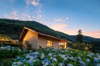 Yi Shuang Ren Hostel - Kæledyr tilladt