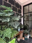 建水野桉度假飯店（建水古城朝陽樓店） - 2 星級