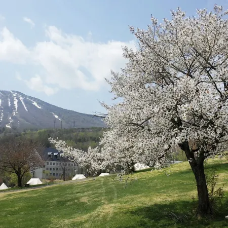 Appi No Mori Glamping