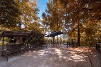 衡陽詩林·山宿度假美宿（南嶽衡山景區店） - 新開幕