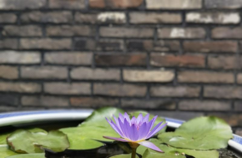Shengyuan Boutique Homestay (Yantai Wanda Suocheng Branch) photo 3
