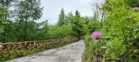 Yang Zhenglong lnn