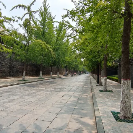 Other Country Homestay (Qufu Sankong Scenic Area)
