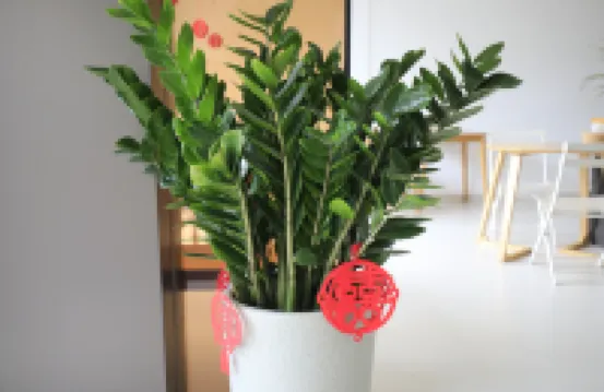 莫幹山曉曉山莊（庾村店）